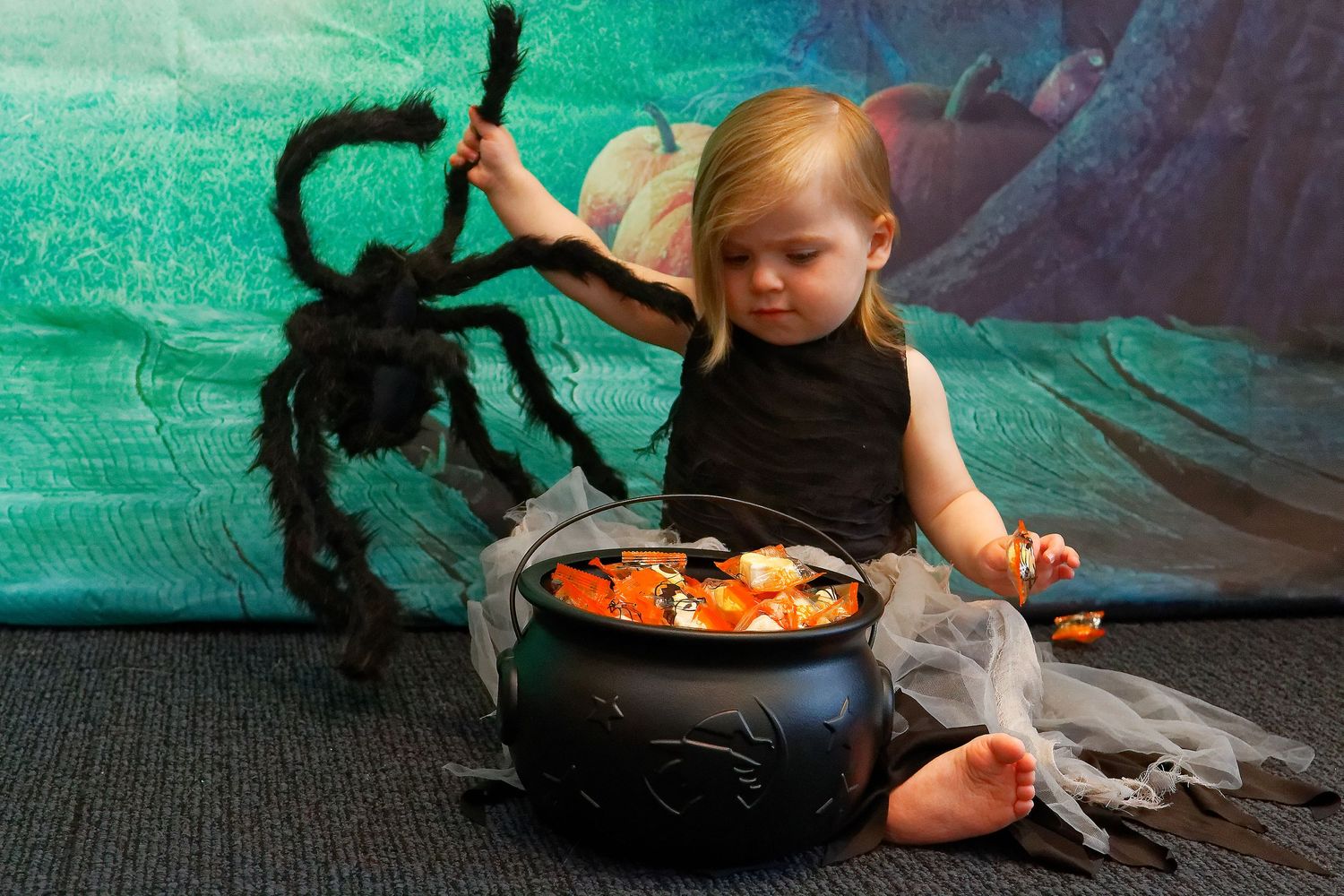 Child poses with black spider and halloween cauldron against green background.