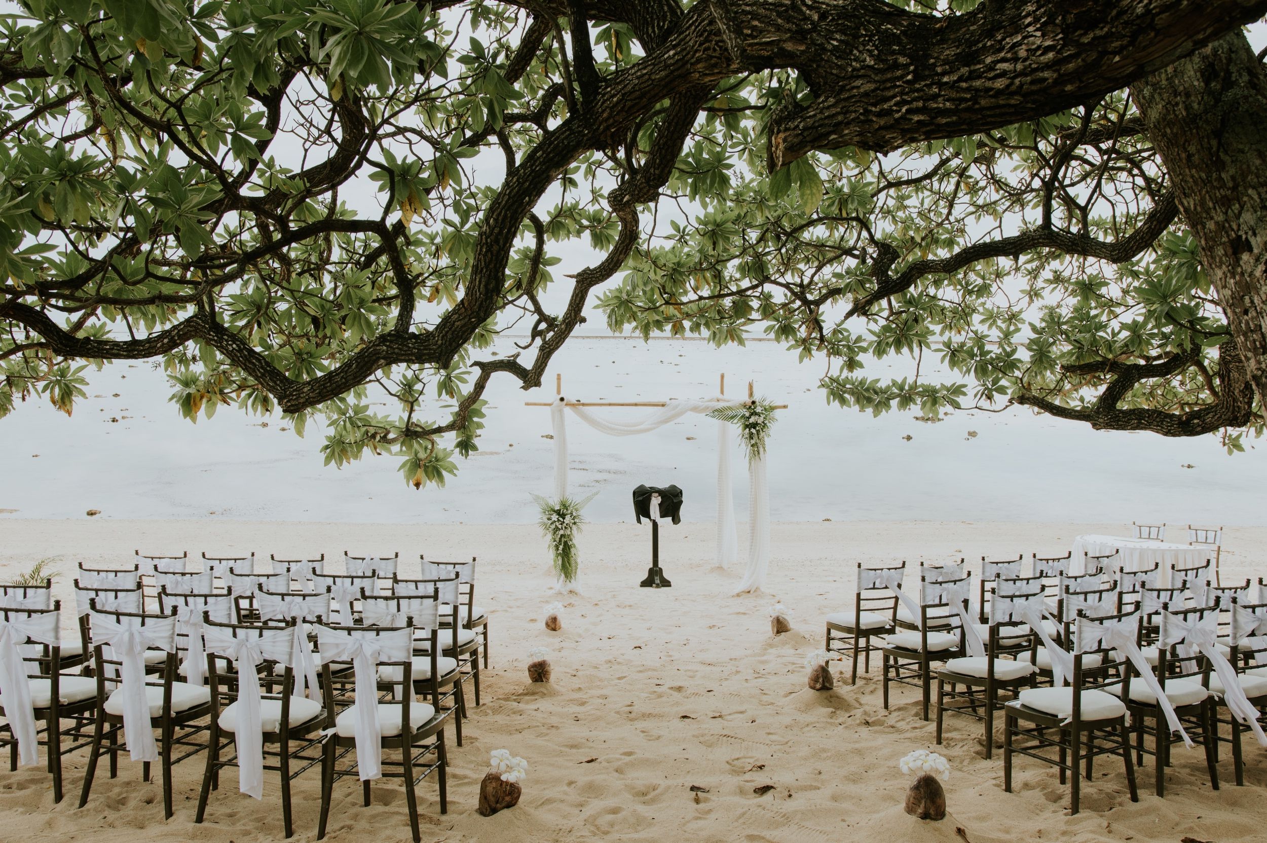 Beach wedding ceremony setup with white chairs arranged under tropical trees overlooking the ocean.