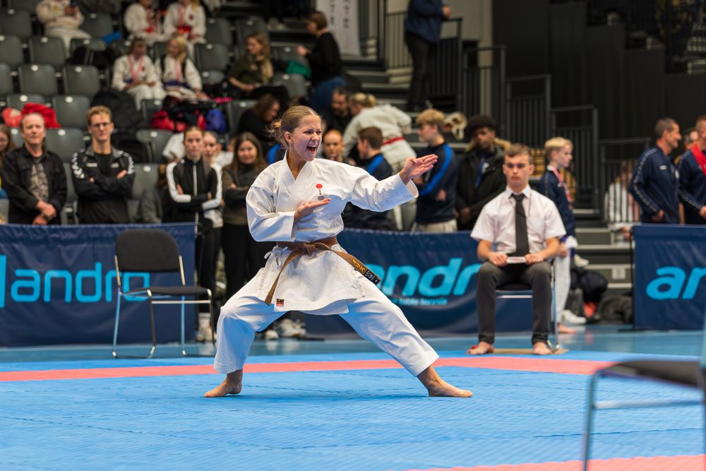 Karate athlete in white gi performing kata at an indoor competition on a blue and red mat.