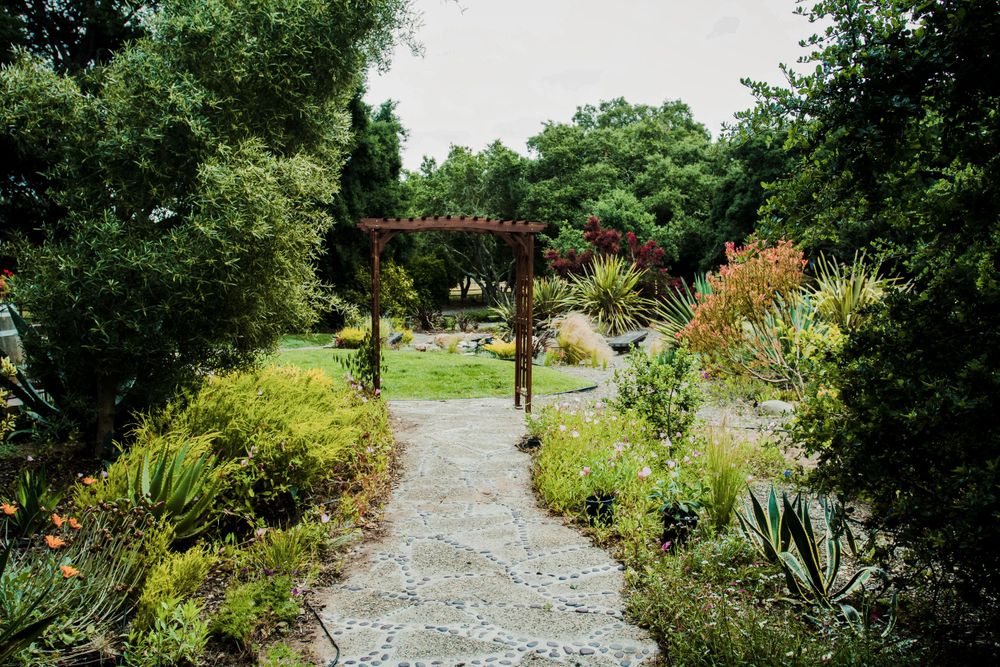 Stone pathway winding through a lush garden with wooden pergola and diverse plant life.