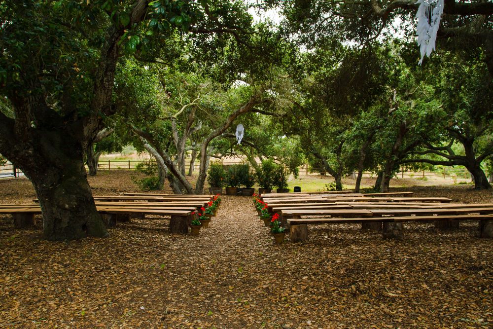 Rustic outdoor seating area with wooden benches arranged in rows under large shady trees on a leaf-covered ground.