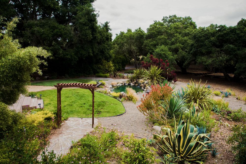 Beautiful garden path with wooden pergola leading to landscaped area with ornamental plants and grasses.