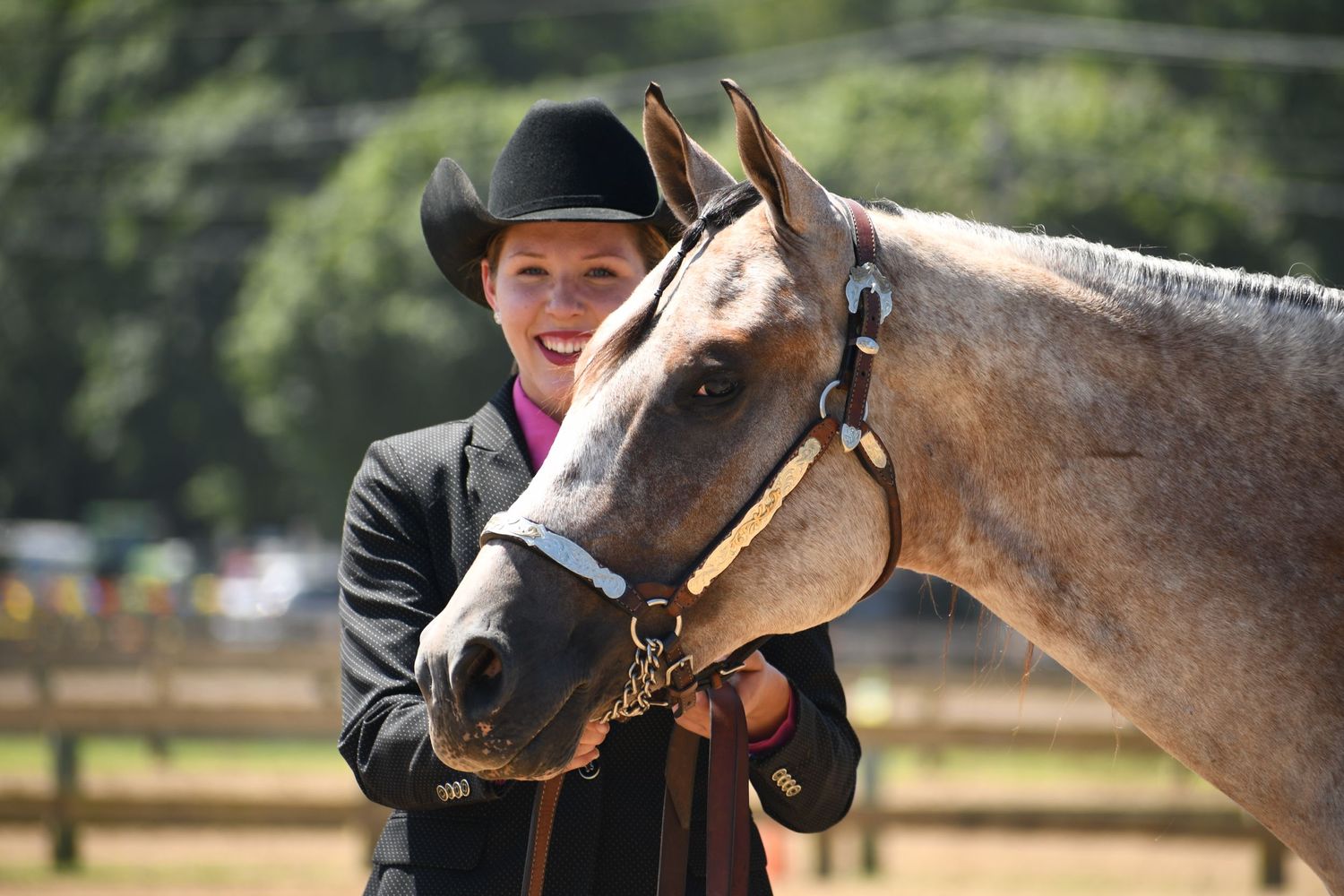 horse