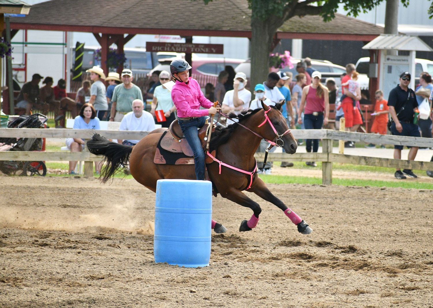 barrel racing horse