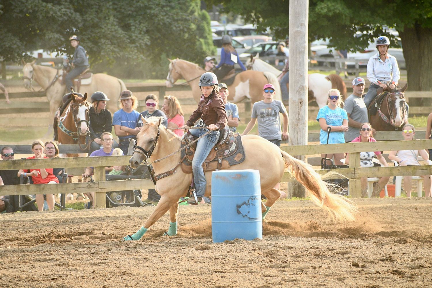 horse barrel racing
