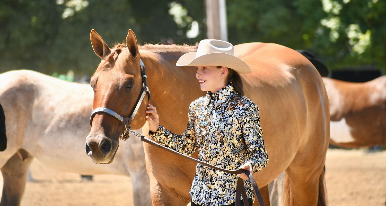 horse