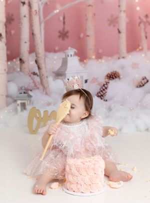 Pink Winter Wonderland Theme 1st Birthday Photography and Cake Smash Session - Port Chester, NY