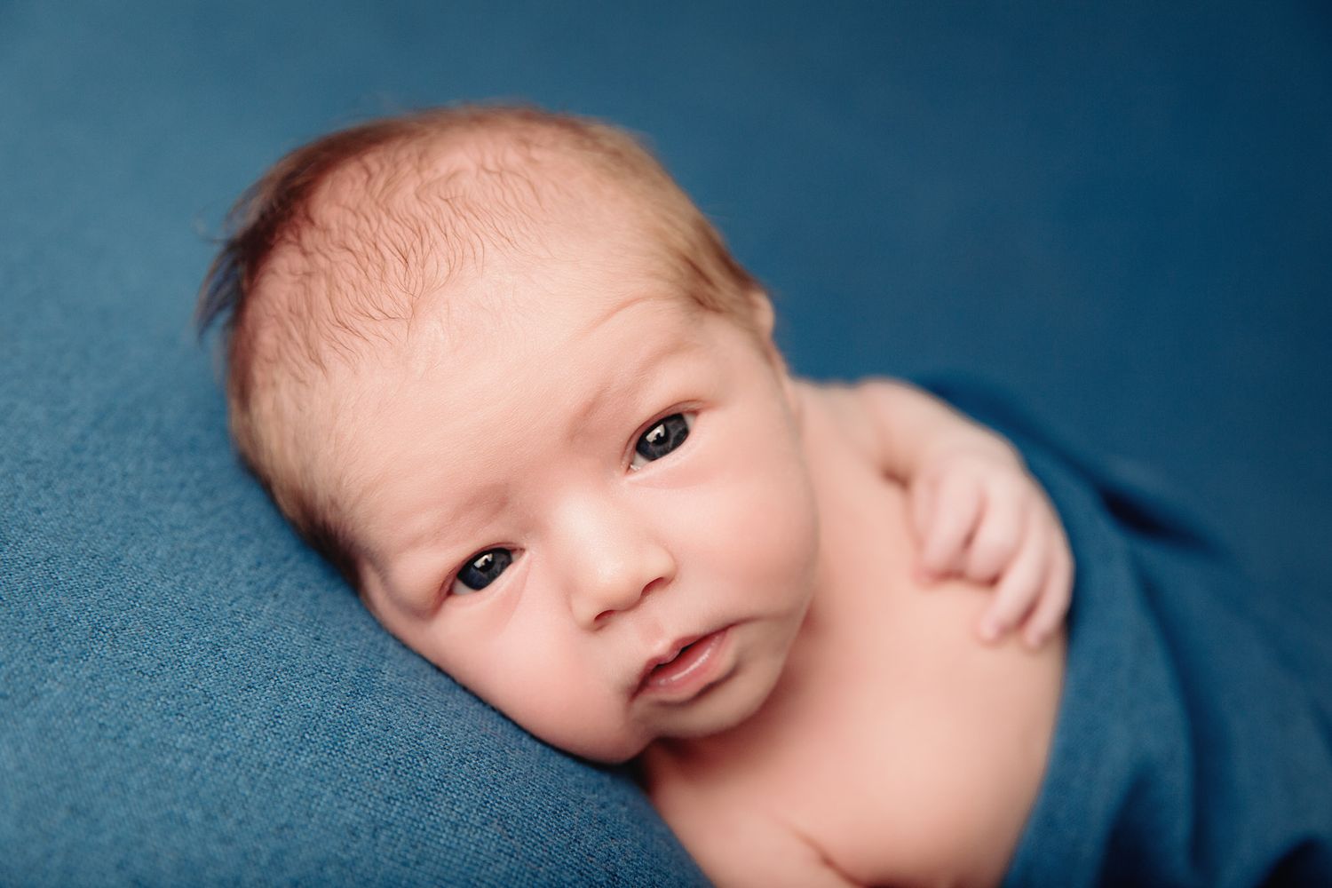newborn boy looking at camera deep denim blue blanket backdrop