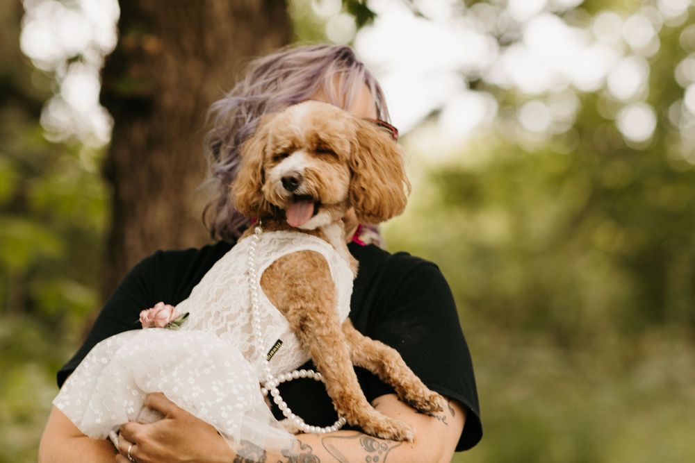 Person holding a fluffy golden doodle dog wearing a white lace outfit outdoors near a tree.