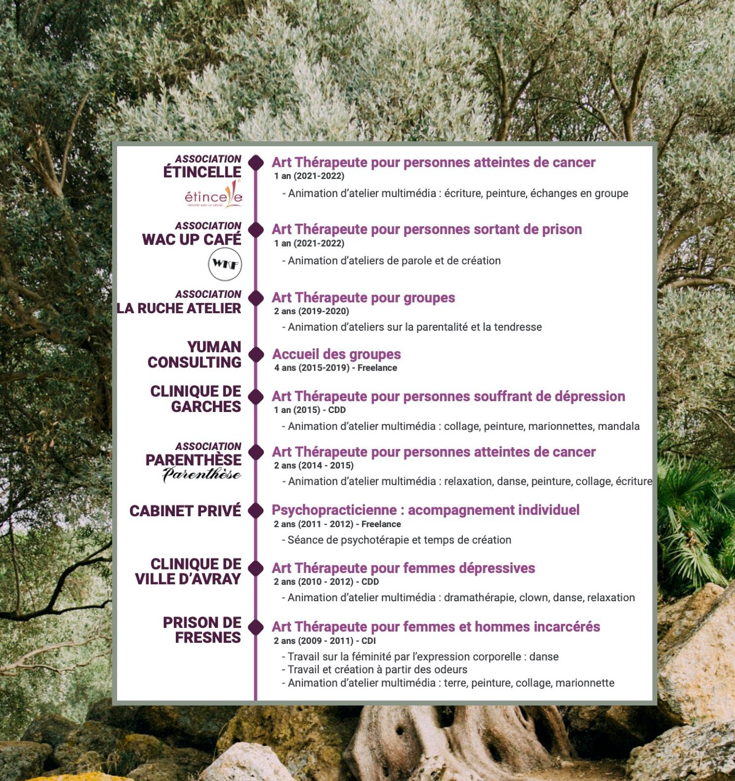 art thérapie montpellier CV Souad Lamniai : association Wake up café, La Ruche, étincelle (cancer), formation MAT, IFRAT