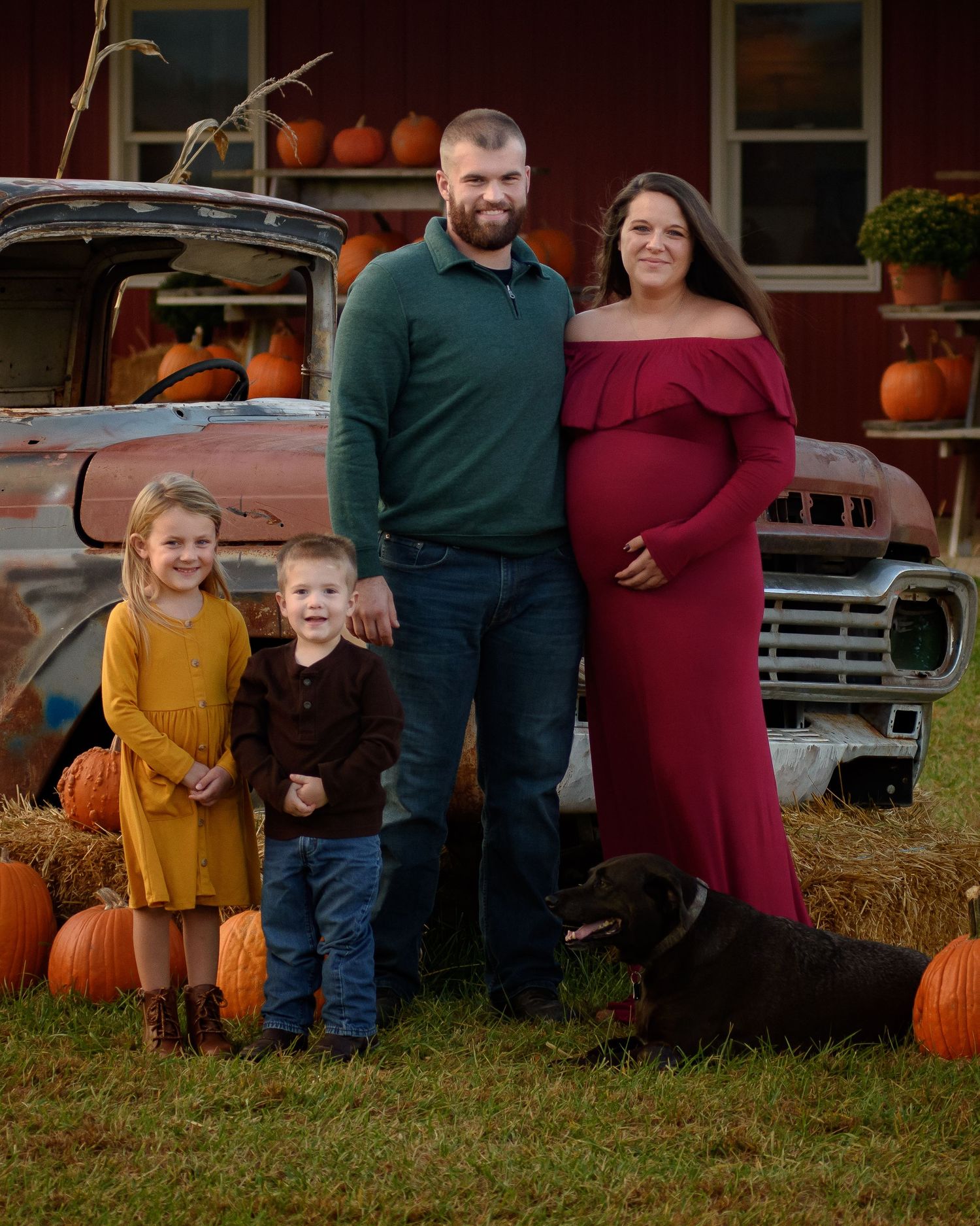 Family maternity photo at a pumpkin patch with two children and a black lab dog near a rustic red barn.