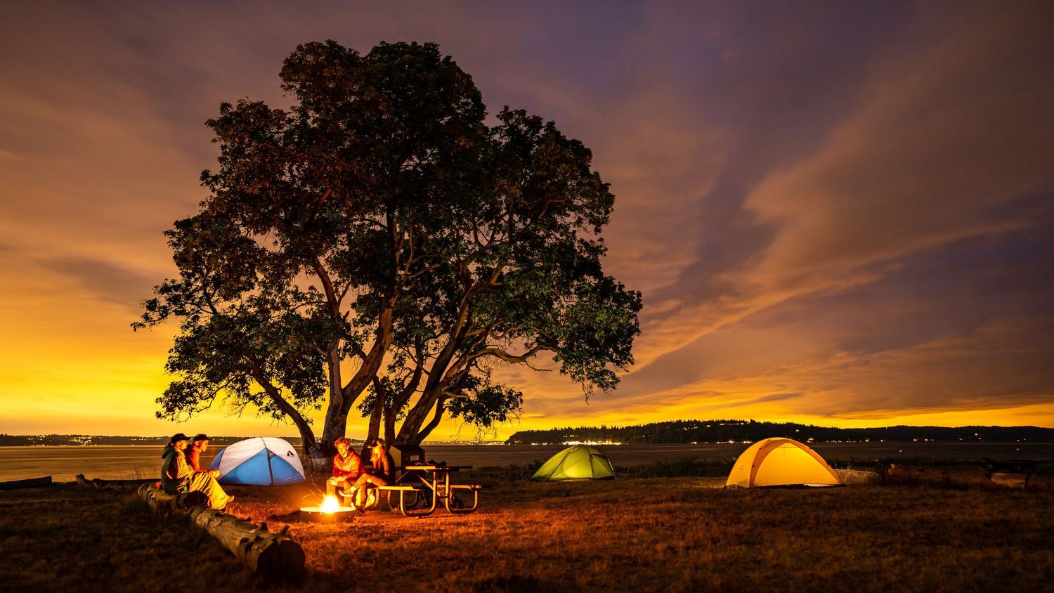 Camping tents and campfire under a large tree silhouetted against a vibrant orange sunset sky.