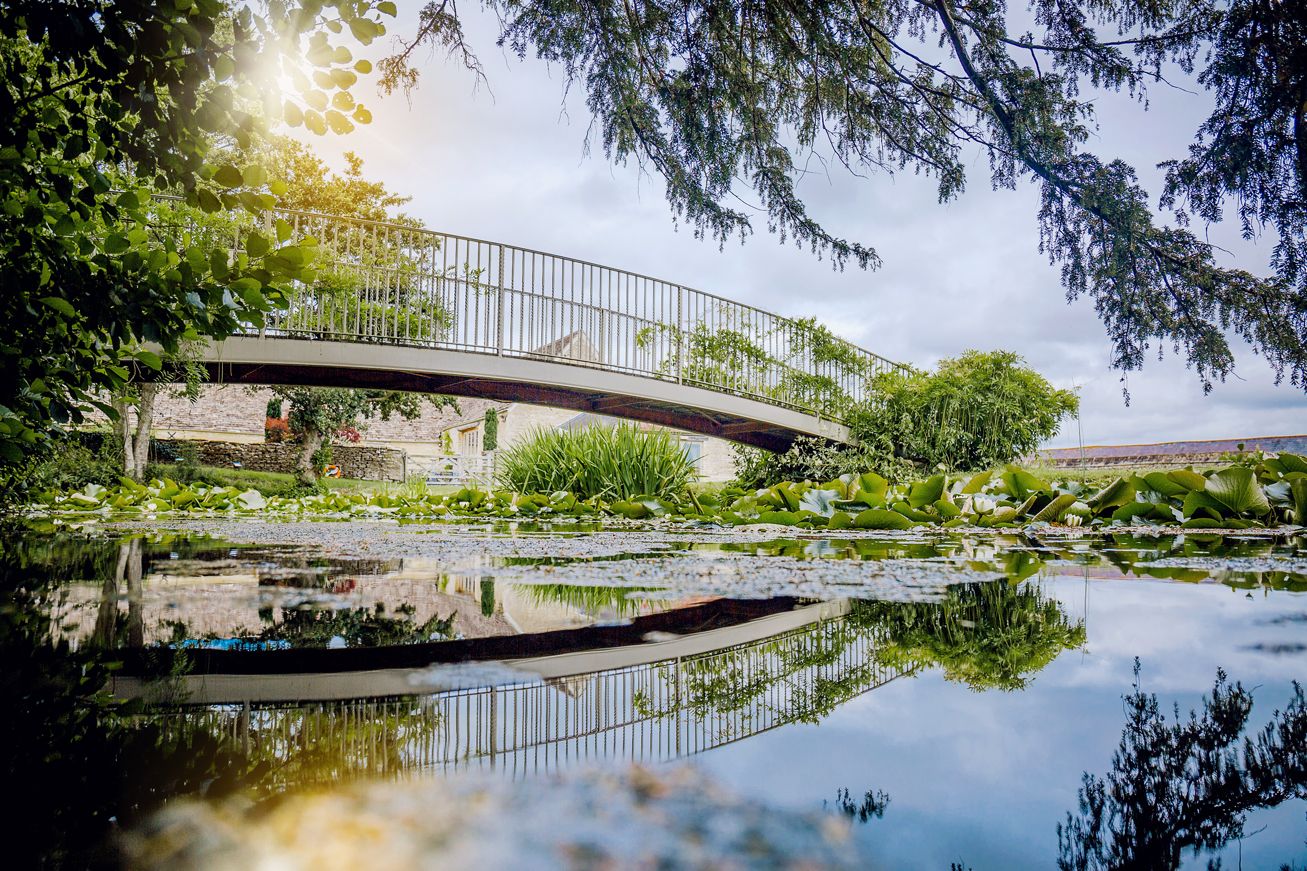 Arched footbridge over tranquil pond with perfect water reflections and sunlight peeking through trees.