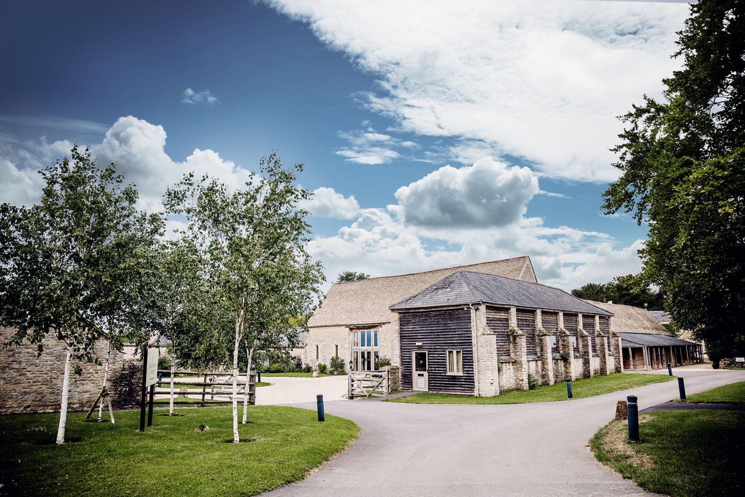 Modern barn-style wedding venue with white birch trees lining curved driveway under blue sky.