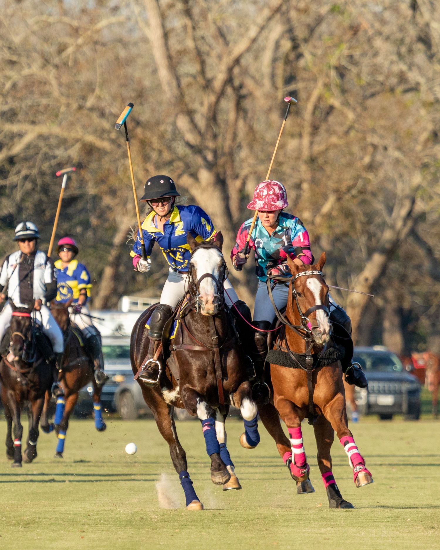 Polo