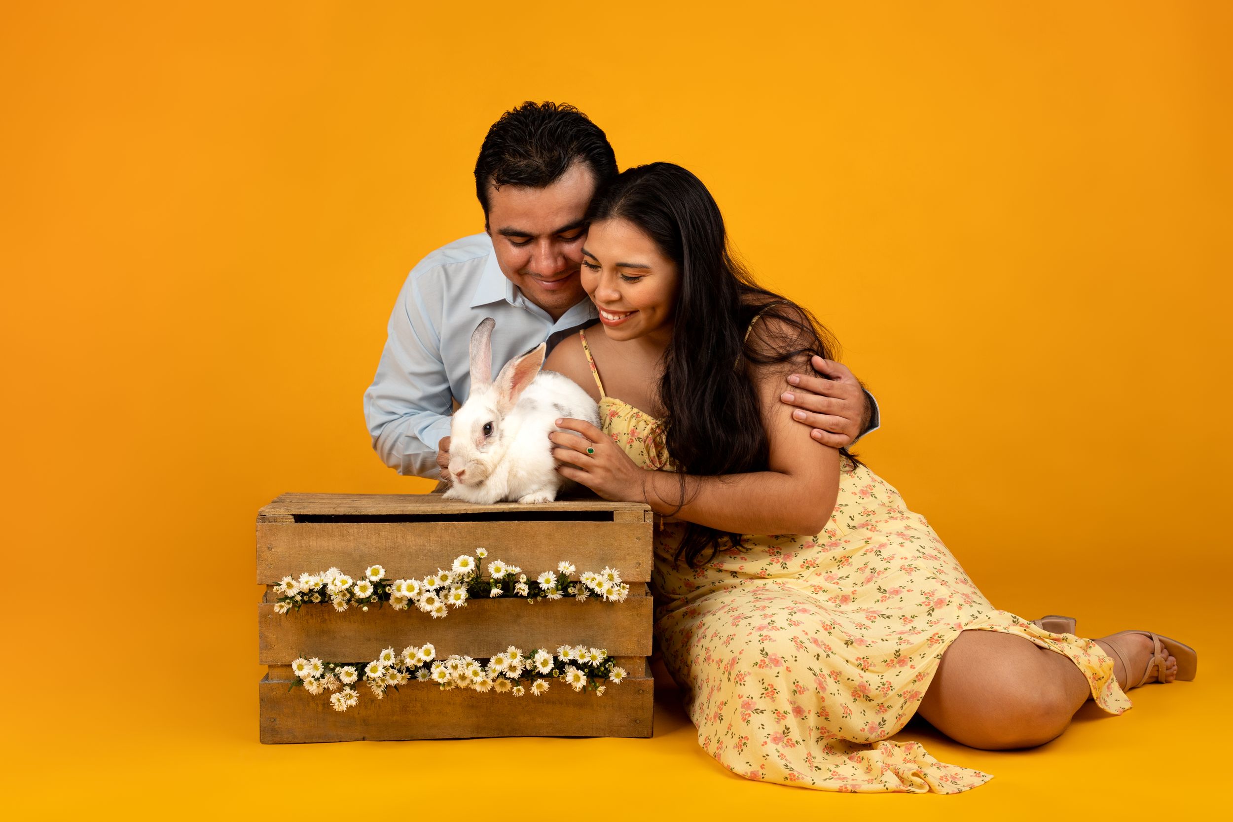 Fotografía canina profesional en exteriores