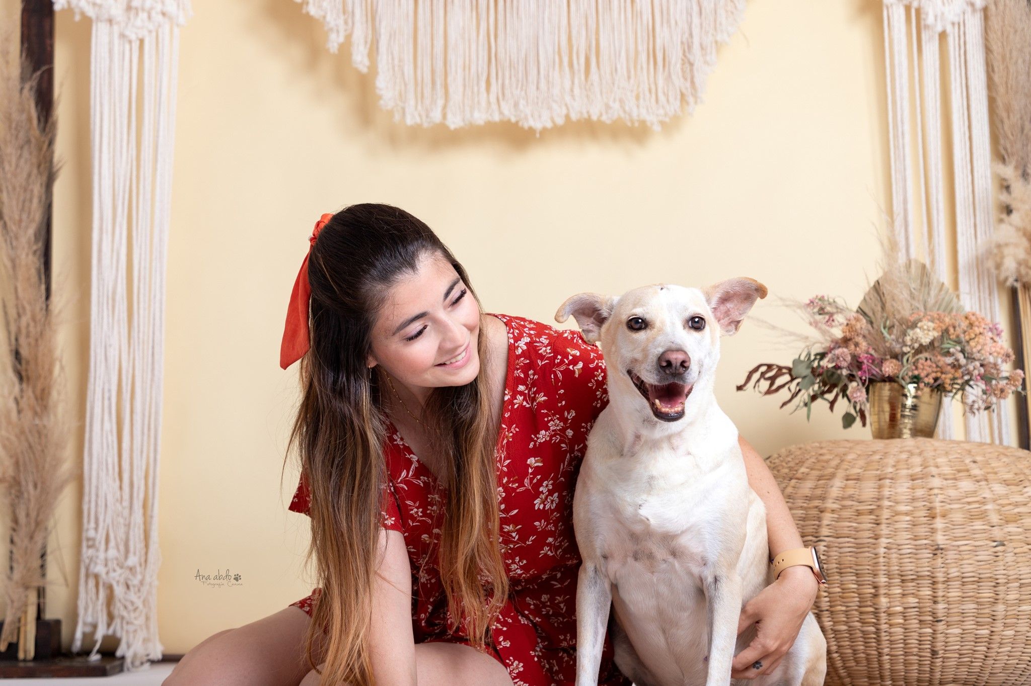 Fotografía canina