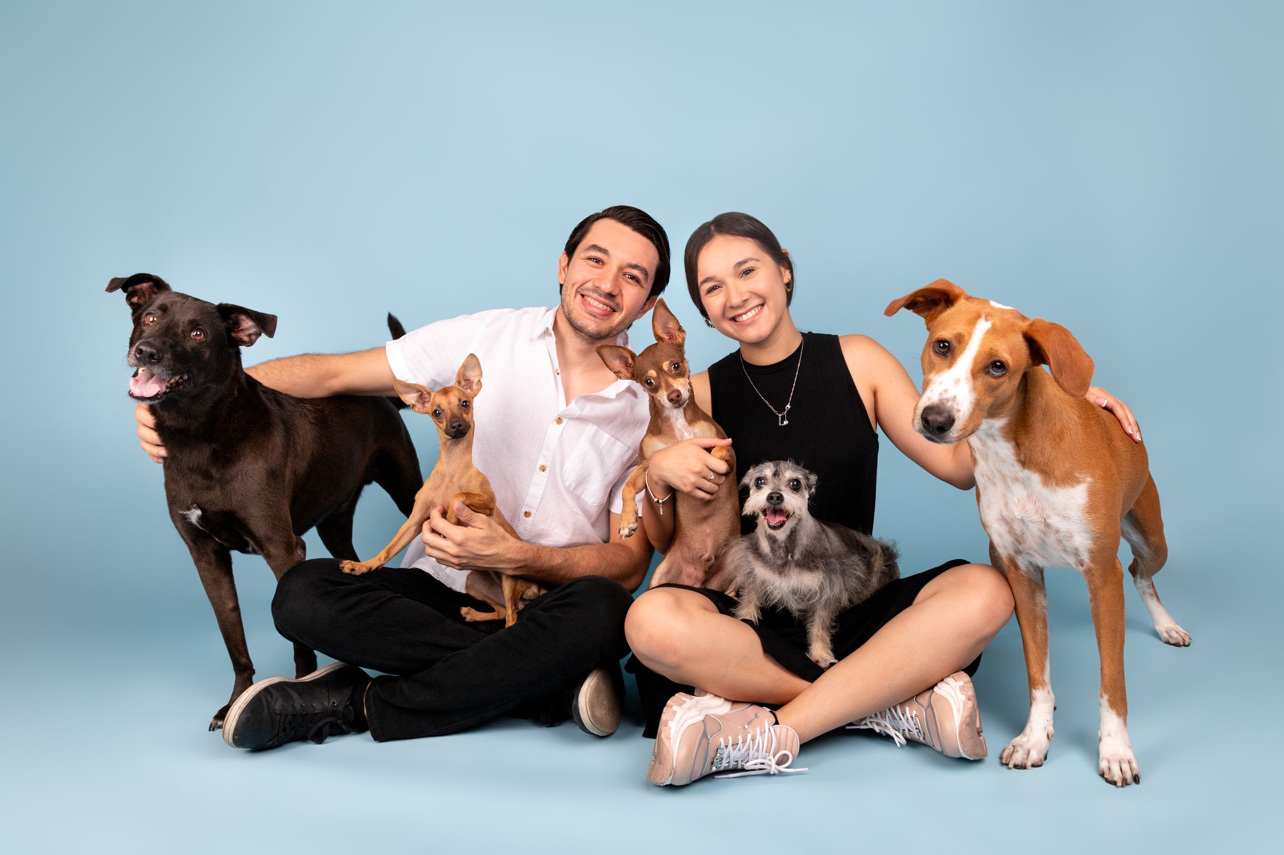 Fotografía canina profesional en exteriores