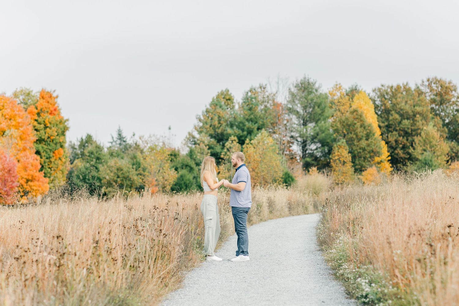 northern virginia surprise proposal glenstone museum