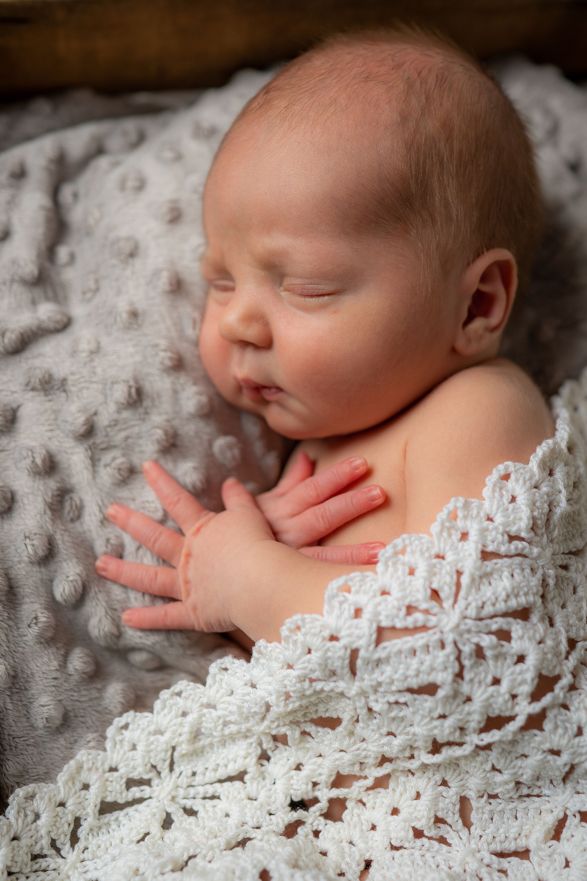 new born fotografie - new born fotograaf