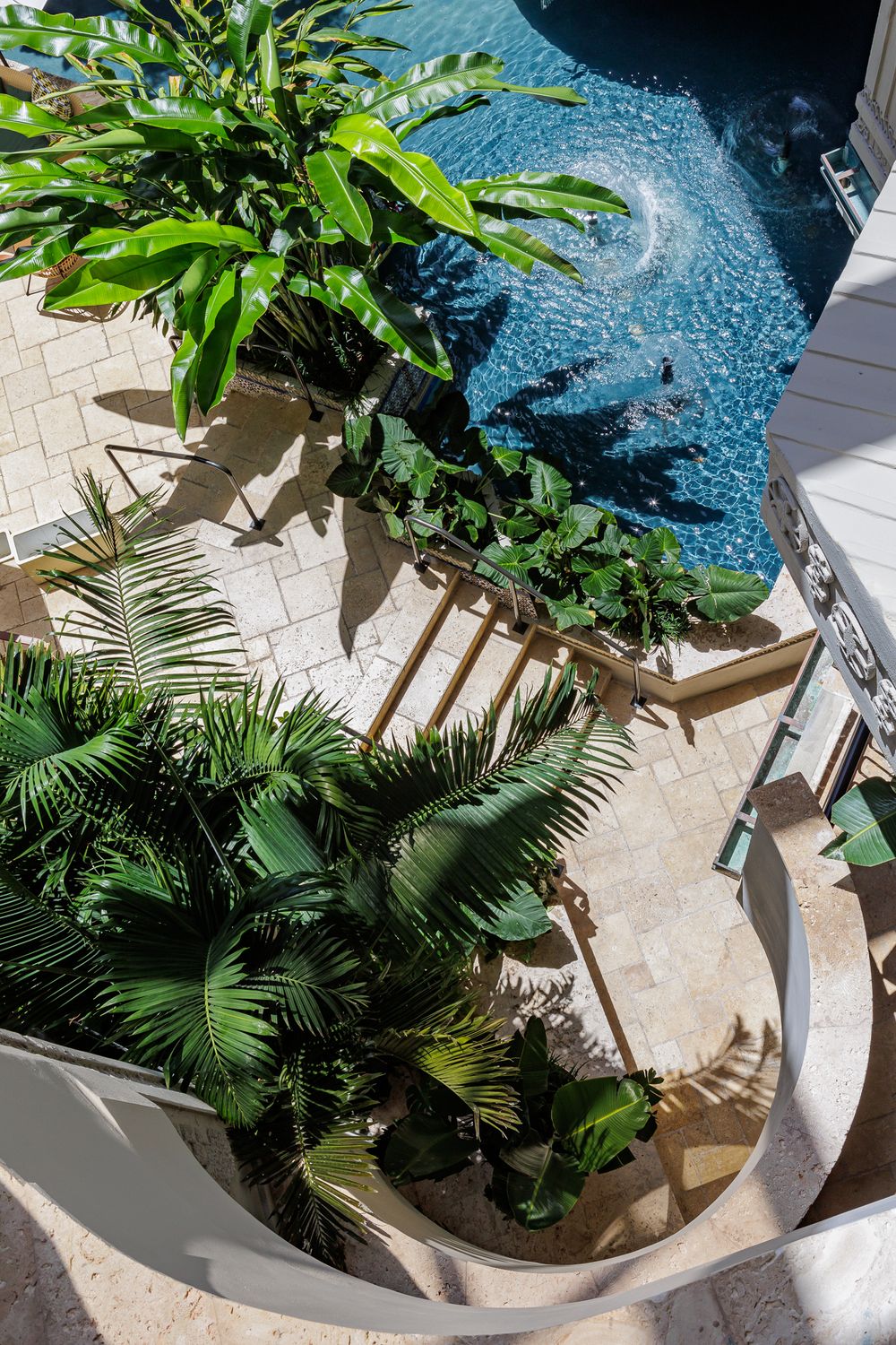 Aerial view of curved swimming pool with tropical landscaping and stone pathways.