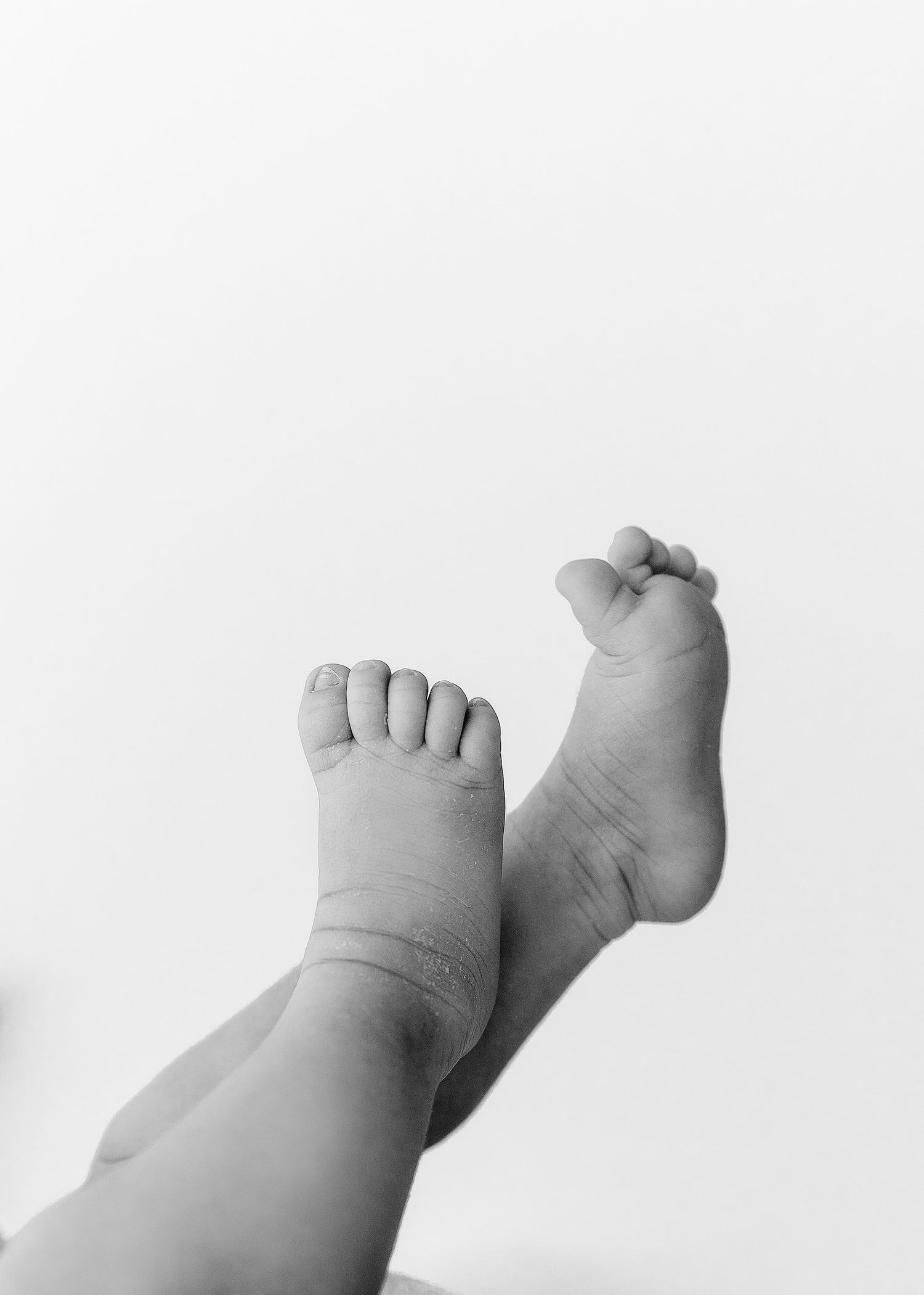Close up black and white photo of tiny baby feet against a white background.