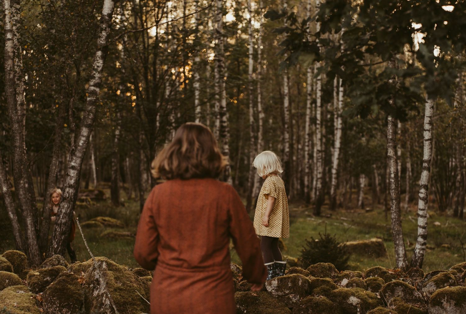 A peaceful walk through a birch forest during golden hour.