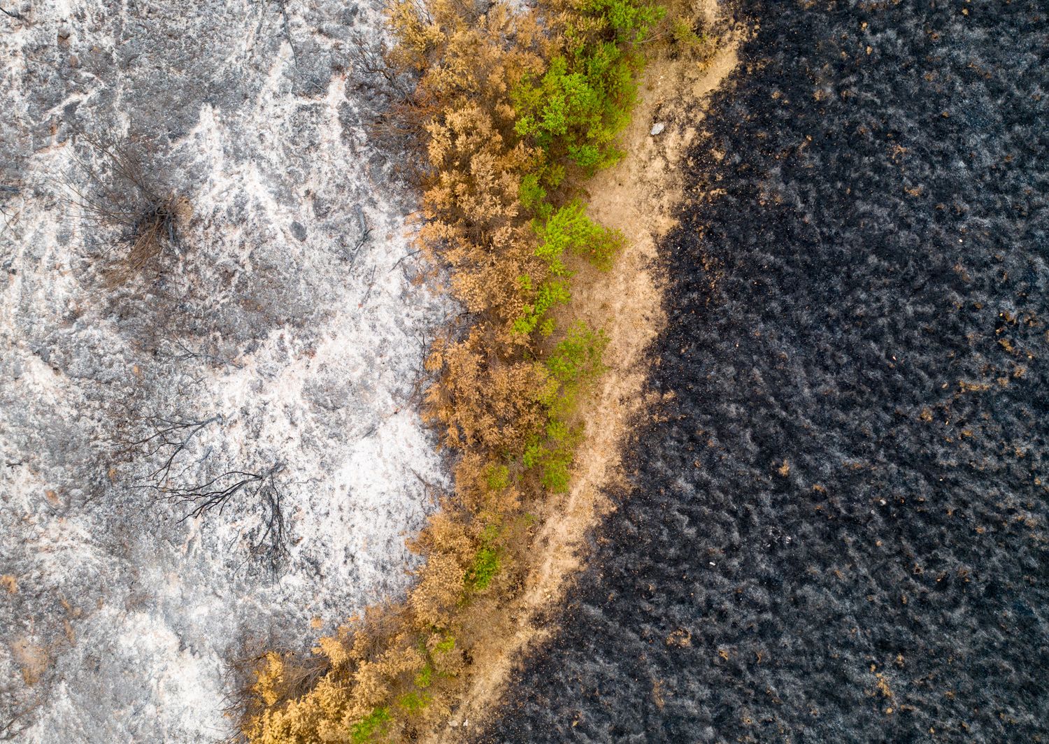 Aerial photograph showing dramatic contrast between burned and unburned landscape sections.