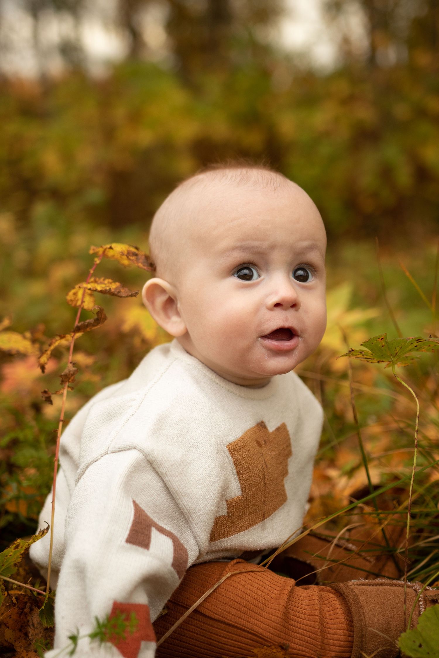 boy, baby, 6 månadersfotografering