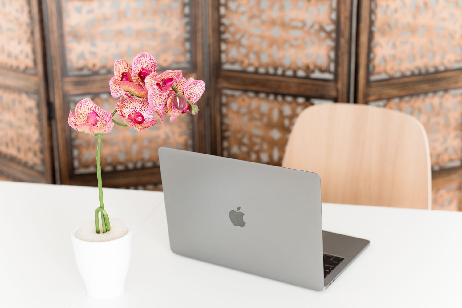 Orchid and computer on desk in natural light photography studio