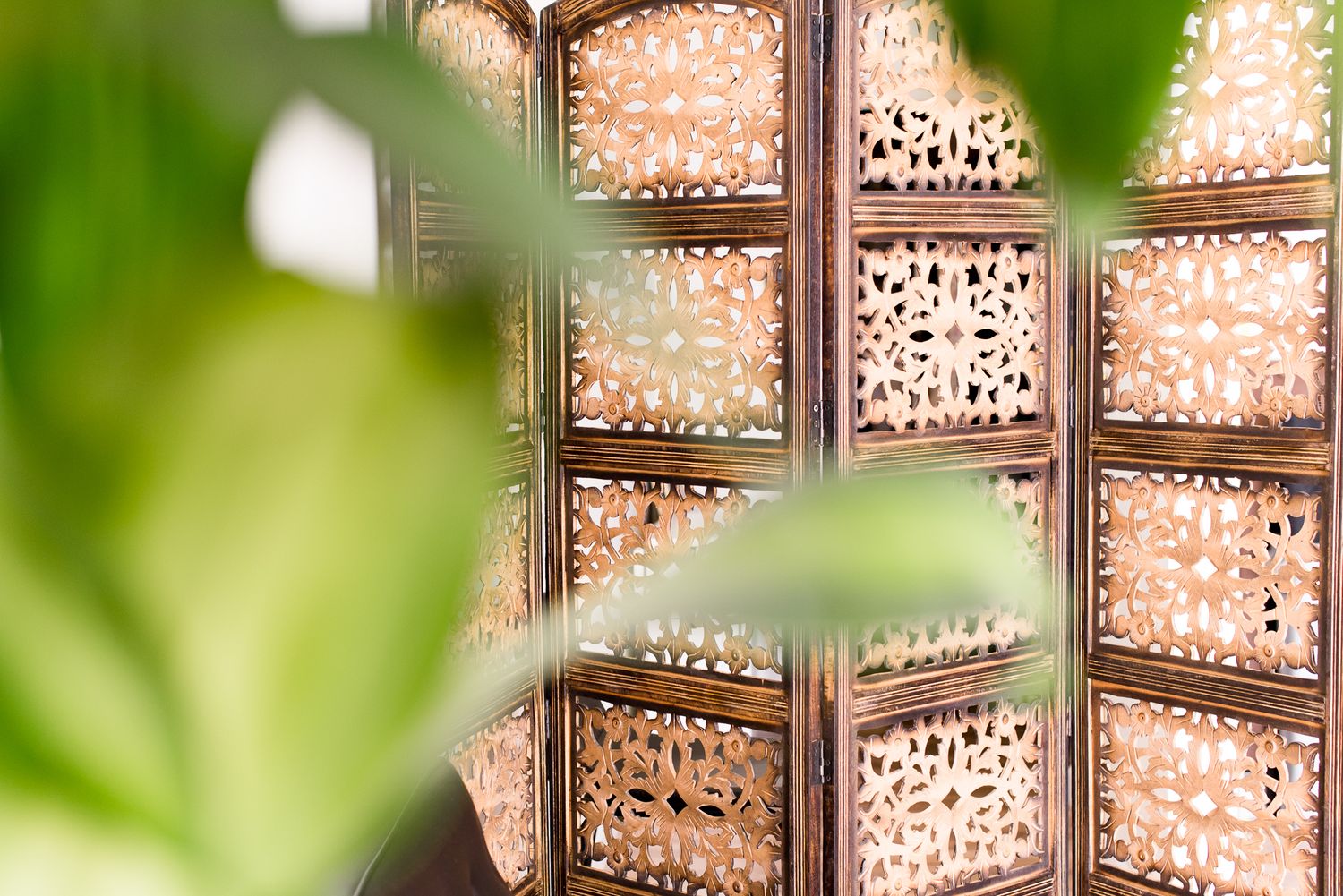 Boho room divider and corn plant inside natural light photography studio