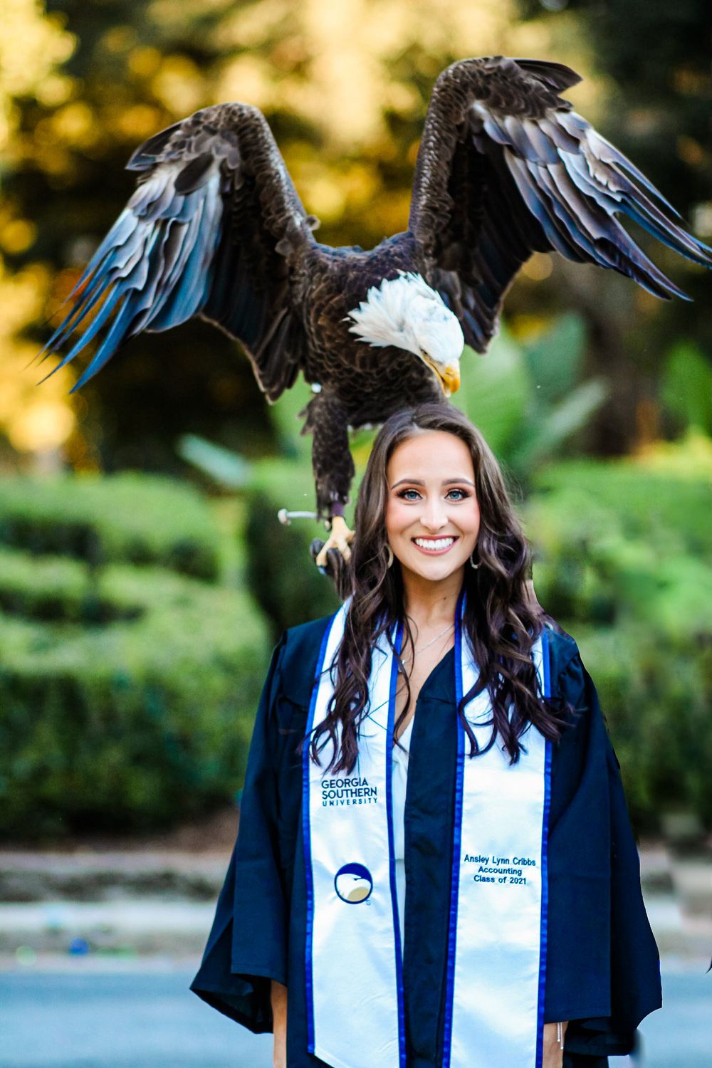 A majestic bald eagle spreads its wings while perched during a graduation photo in an outdoor setting.
