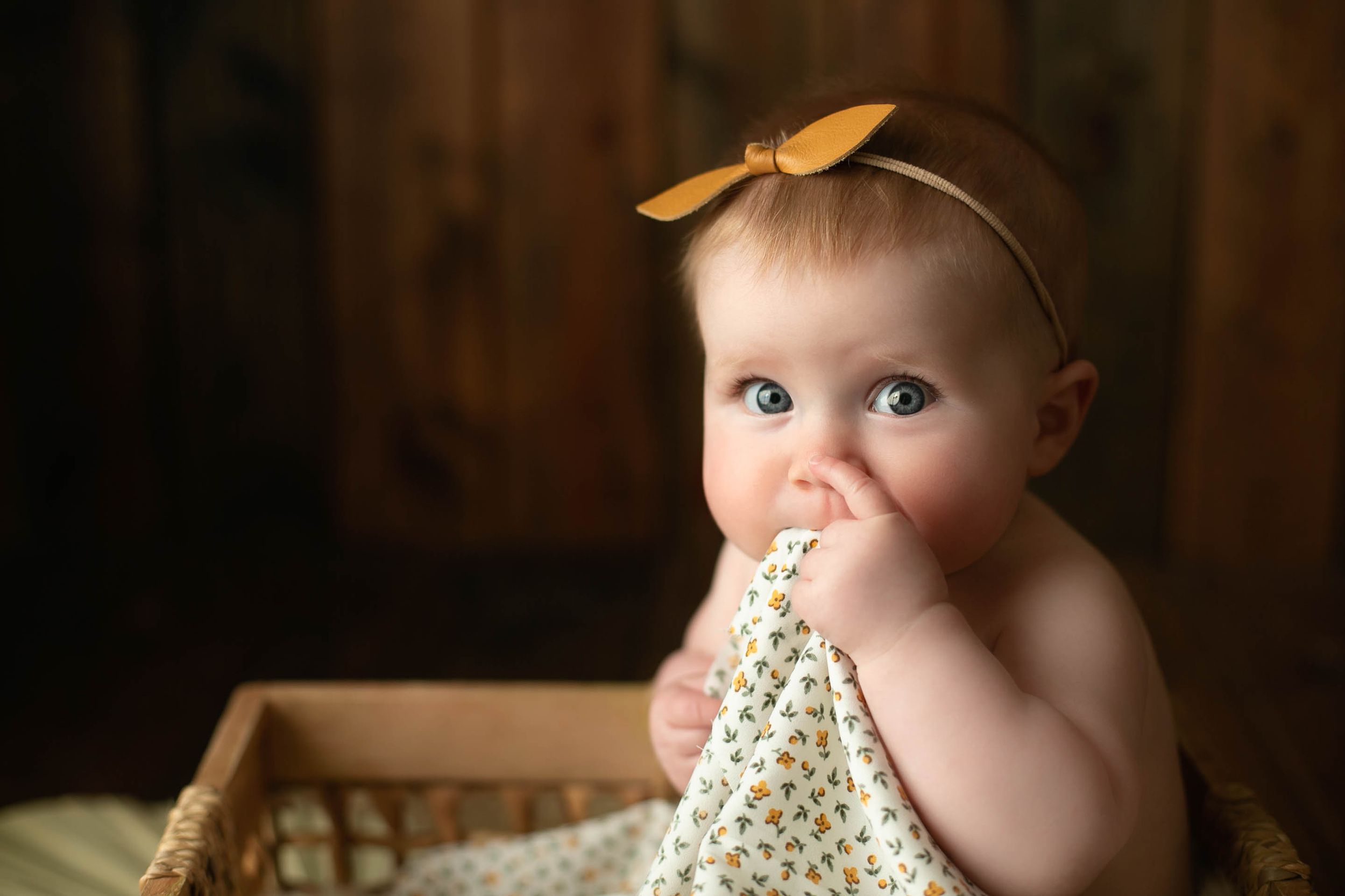 Milestone session with a little girl holding a blanet up. Greenville, SC newborn photographer, Easley, SC Newborn photographer