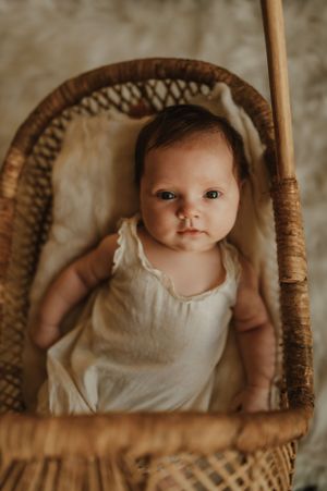 sterling il family photographer