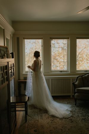 wedding at the hauberg mansion rock island illinois