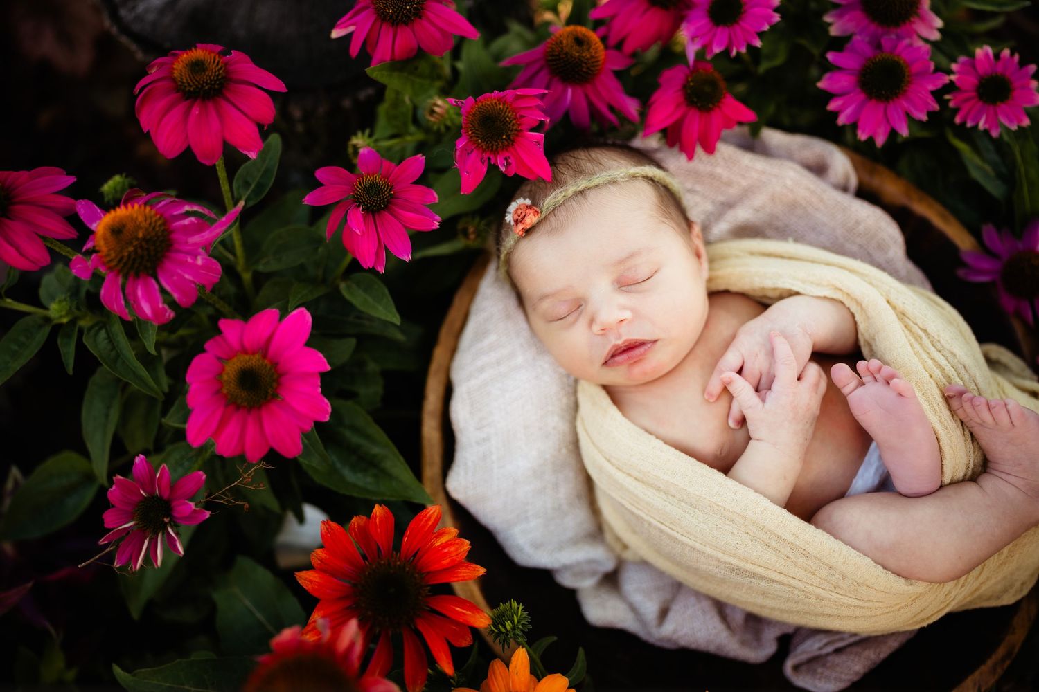 Newborn baby sleeping peacefully surrounded by vibrant pink and orange coneflowers.