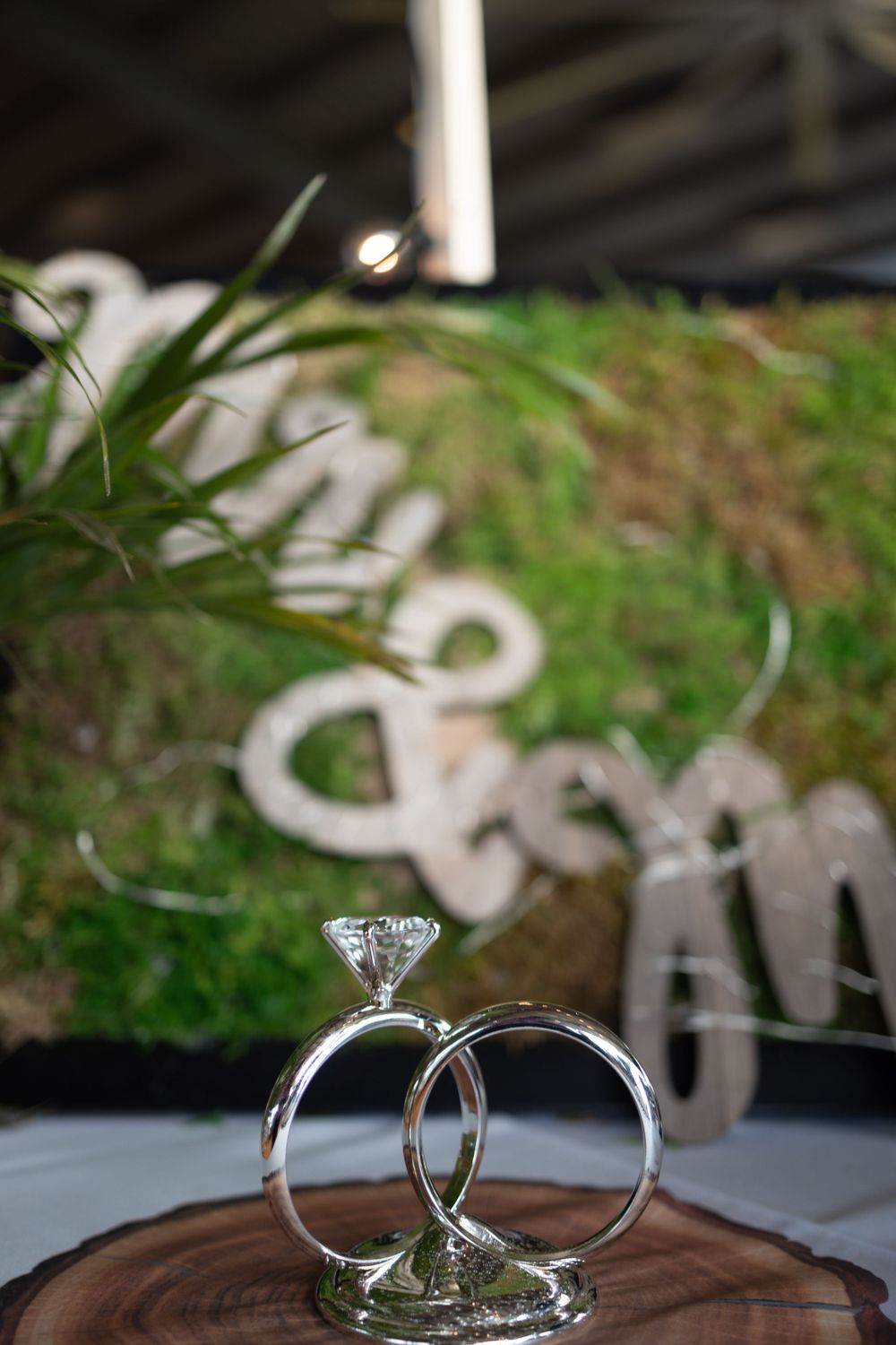 Wedding rings displayed artistically on wood slice with green moss backdrop.