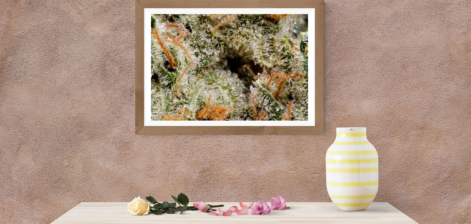 CannaPrints.ca - Framed Cannabis Art for Modern Living Spaces. Powder Room Artwork