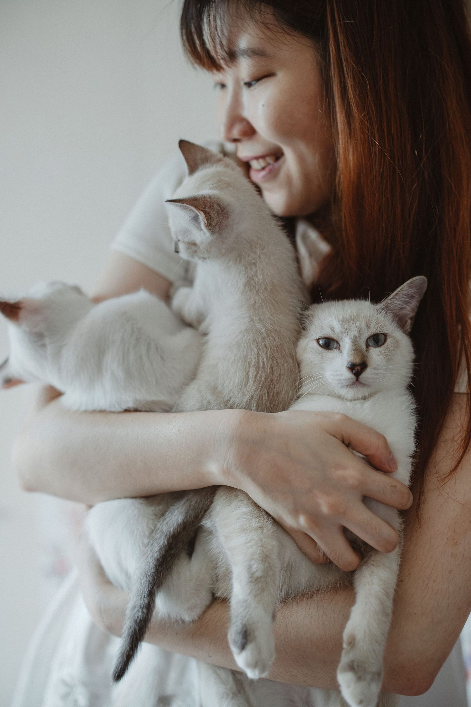 girl with 3 of her white cats