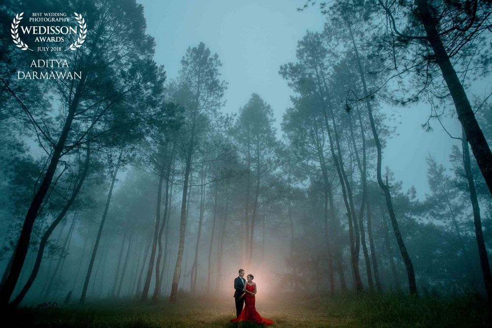 Couple standing in a misty forest with ethereal lighting creating a moody romantic atmosphere.