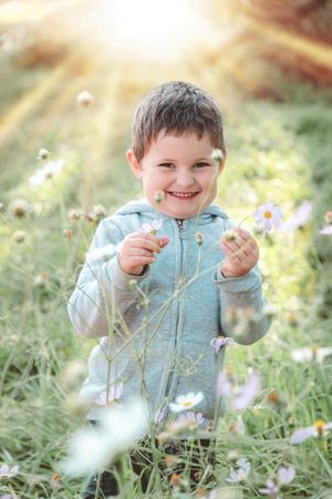 Young smiling boy in a sunny field of flowers