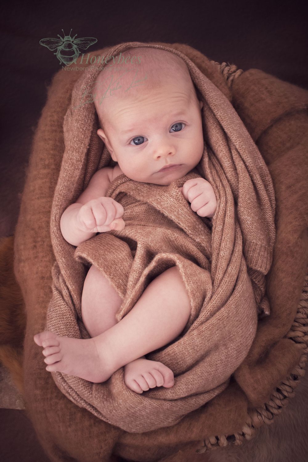 baby boy wrapped up on brown cloth looking at a camera for a phot shoot