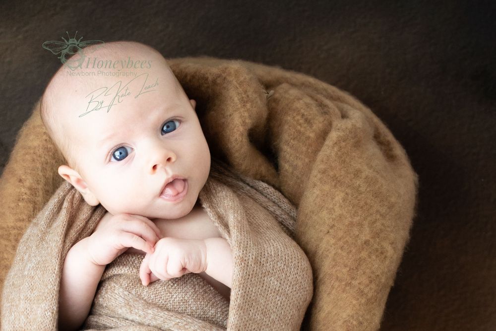 baby with his tongue sticking out looking cute with both hands by his face for a photo shoot at Honeybees photography