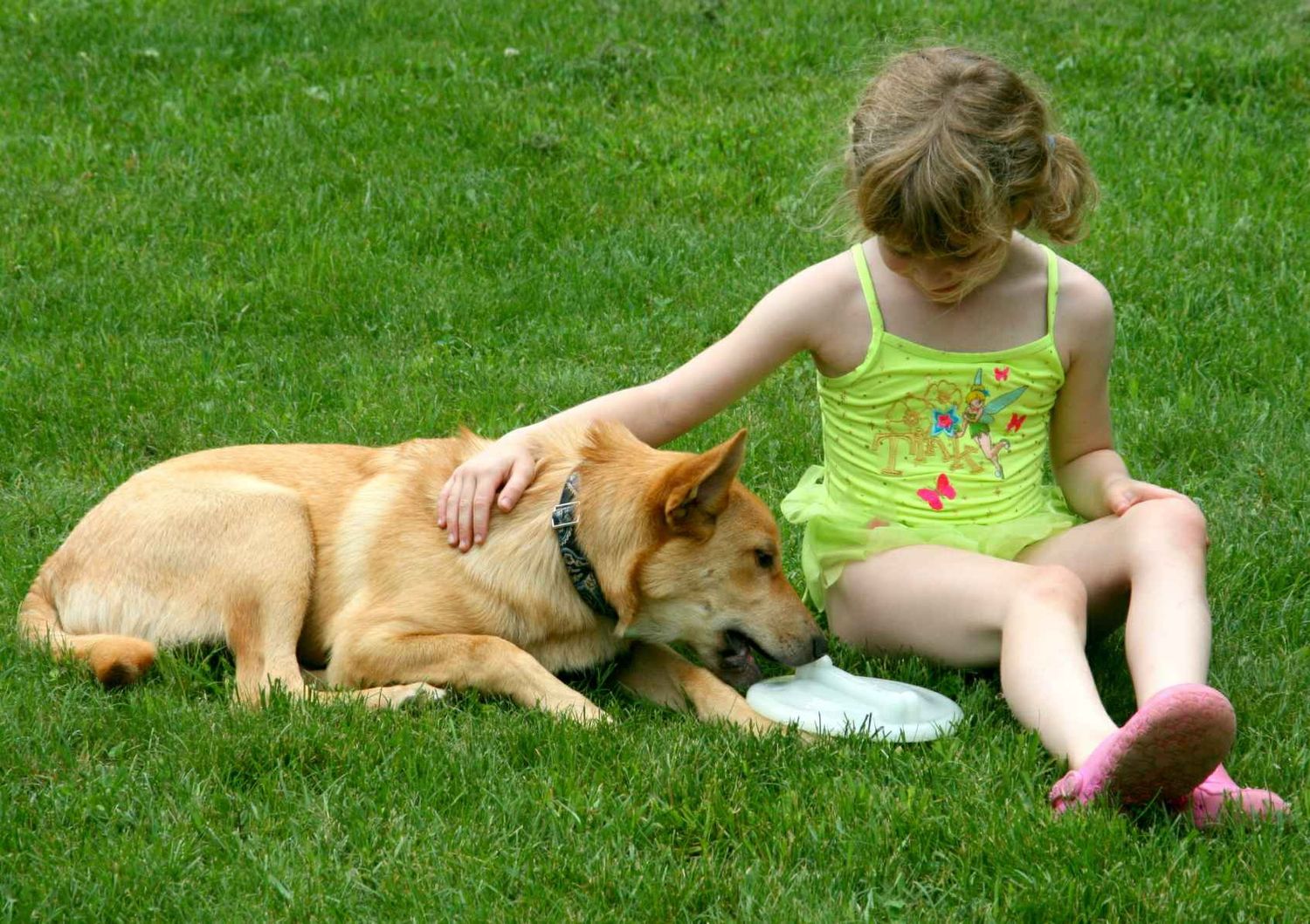 Chinook Dogs and Kids:  Intervale Otie shares a moment with BFF June