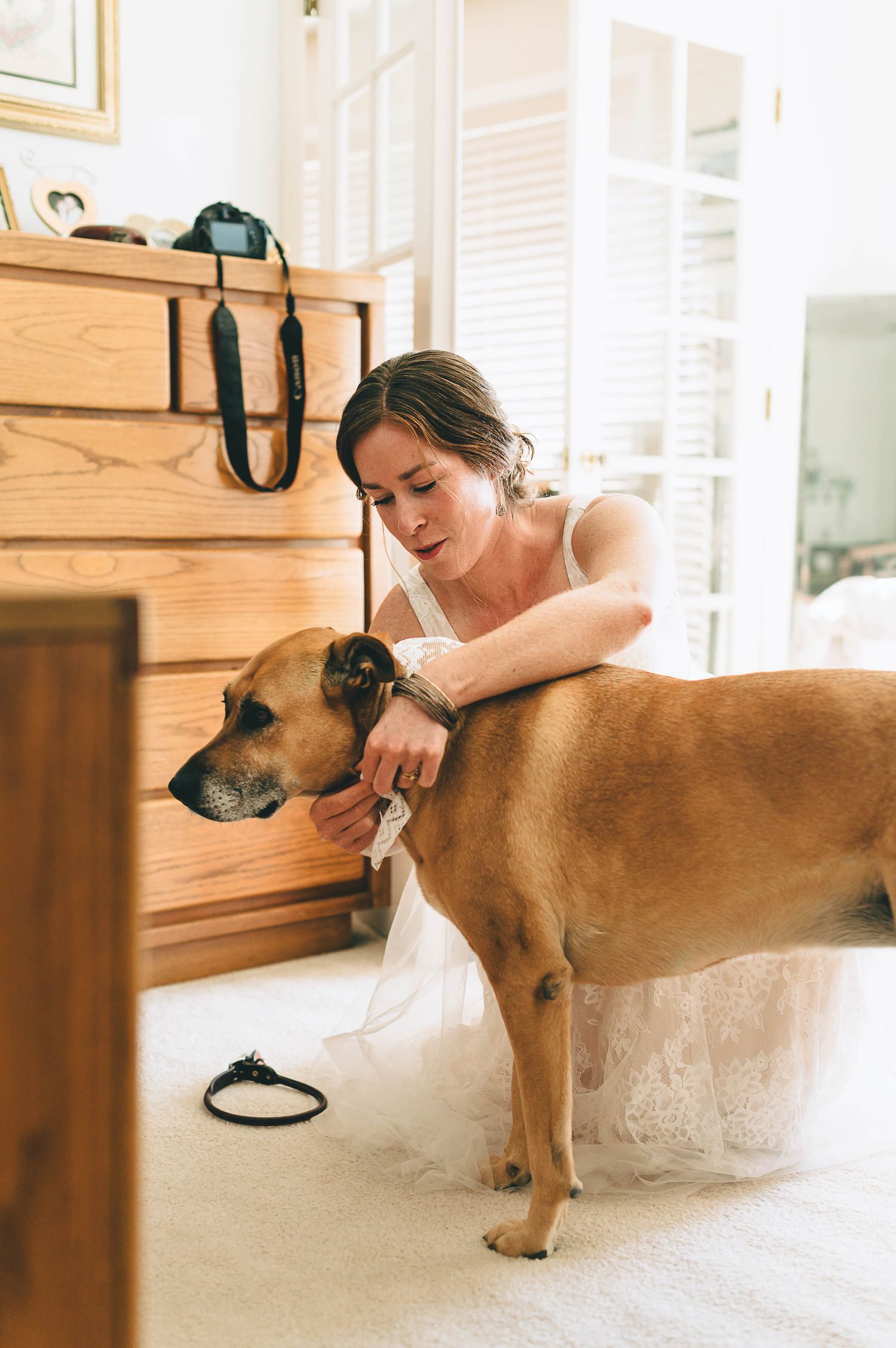 bride putting special bandana on maid of honor dog