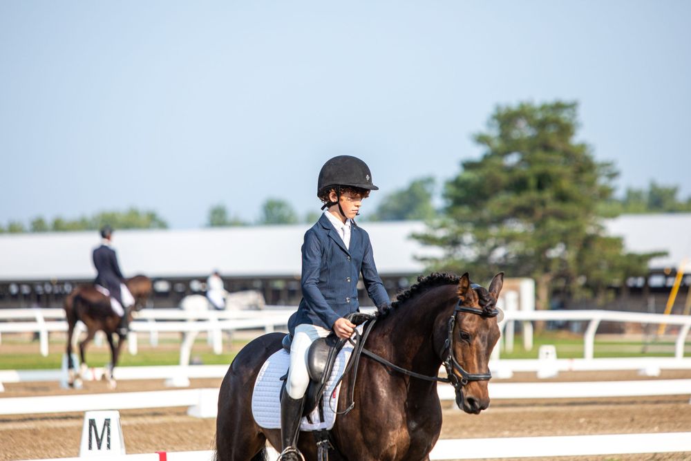 Rider in formal attire performing dressage test on bay horse.