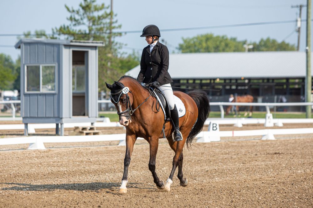 Equestrian riding in a dressage arena with white fencing and trees in the background.