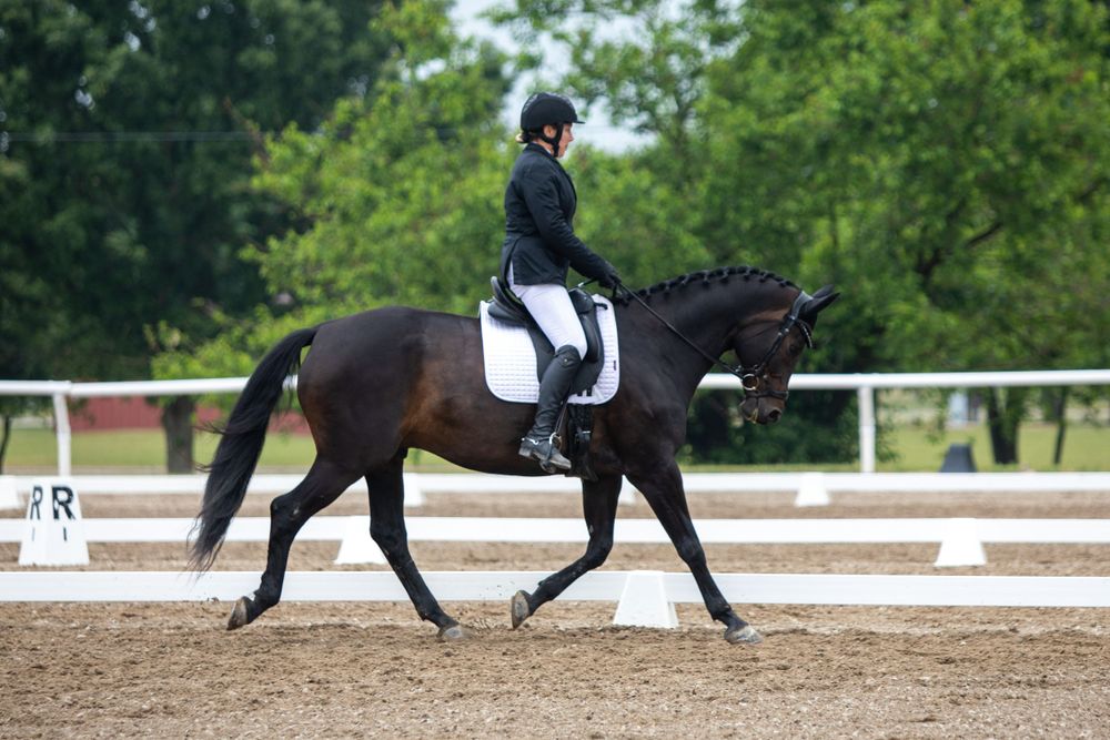 Dressage riders training in an outdoor arena surrounded by lush greenery.