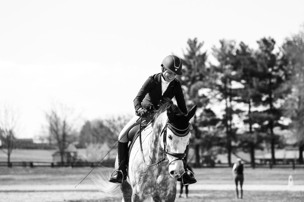 Black and white action shots of equestrian competition in an outdoor arena.