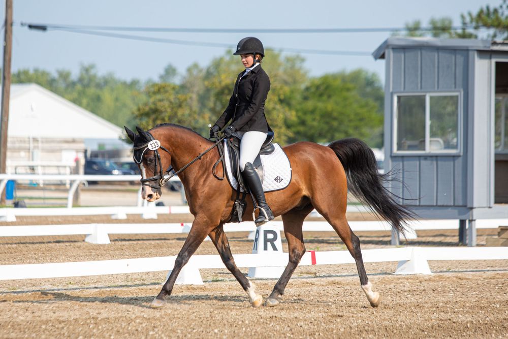 Horse and rider practicing dressage movements in an outdoor sand arena.